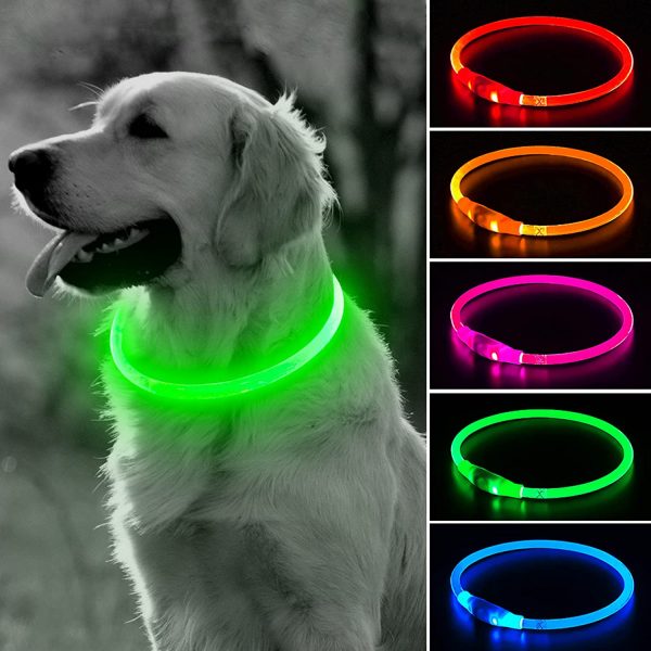 led dog collar
